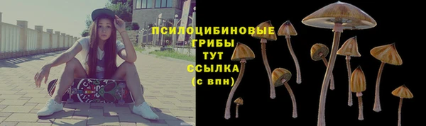 СК Михайловка